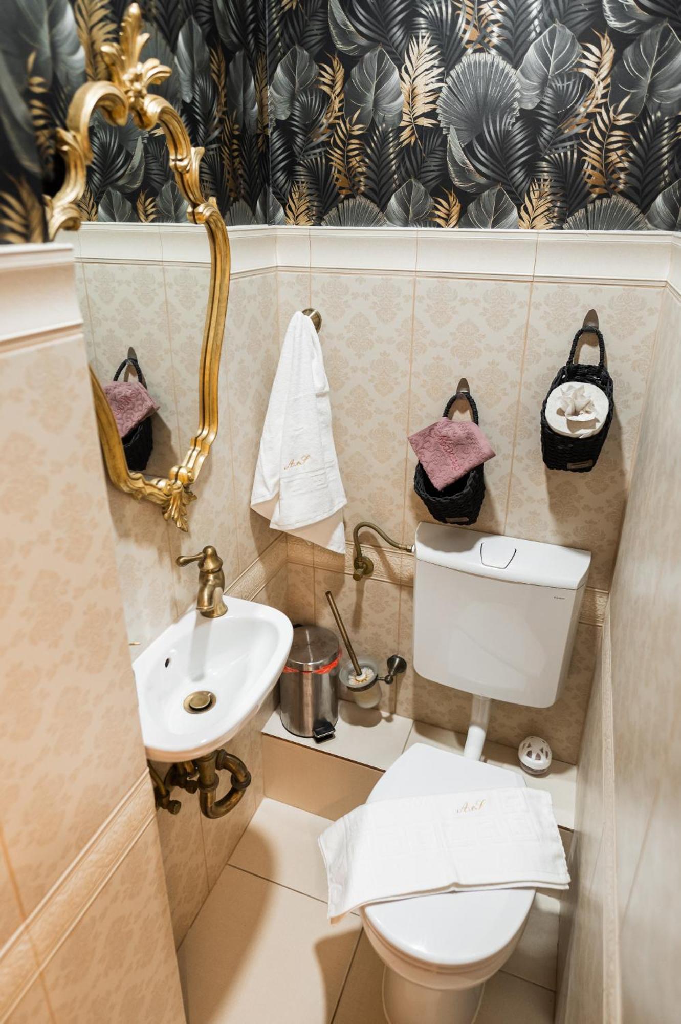 Appartement Apollonia Estate Old Town Big And Luxurious à Braşov Extérieur photo
